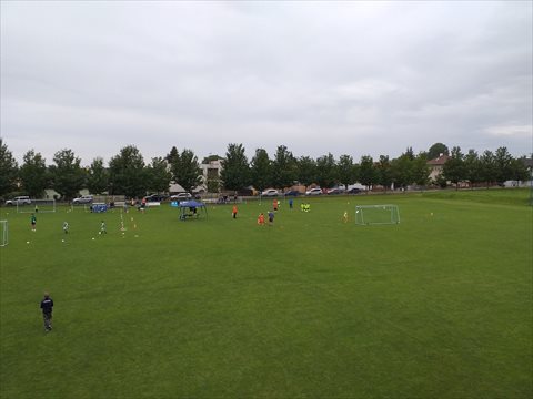 20200619_165943.jpg